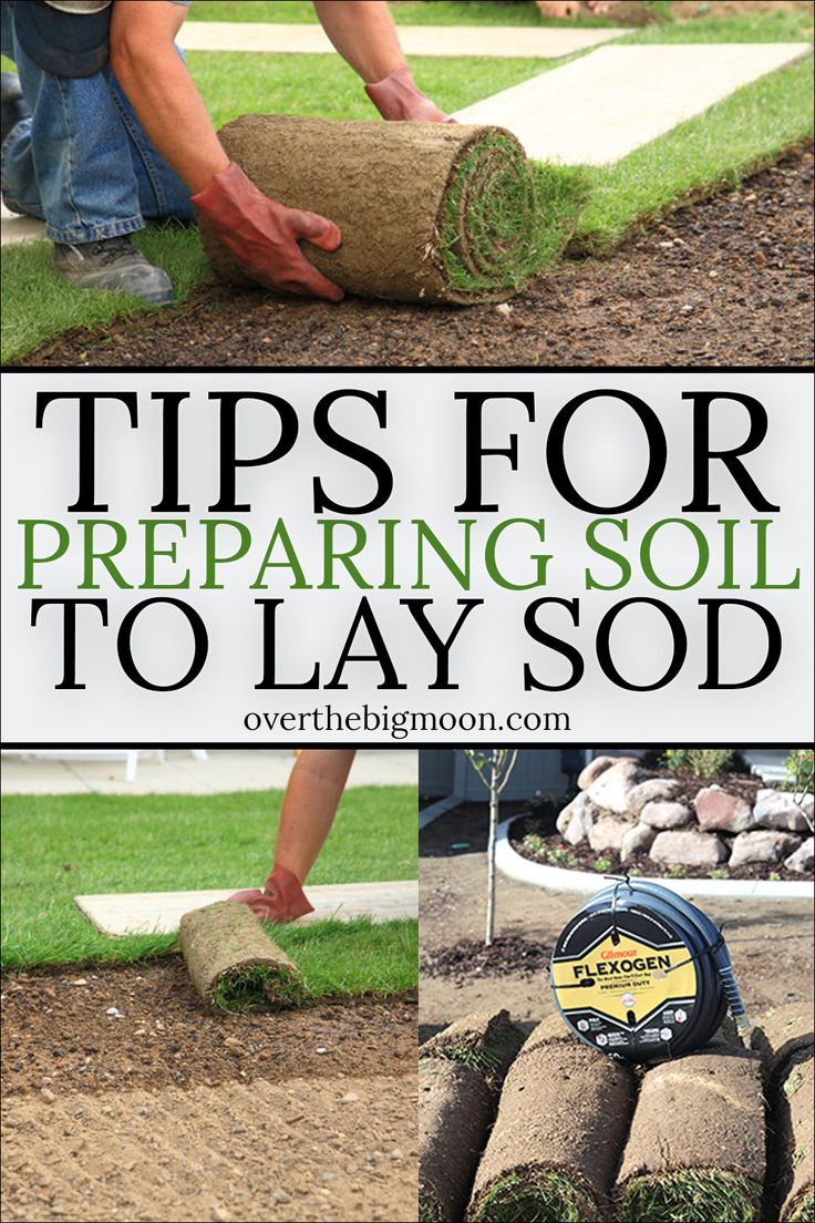 Tips and Tricks for preparing your soil before laying  new sod! Making sure the ...