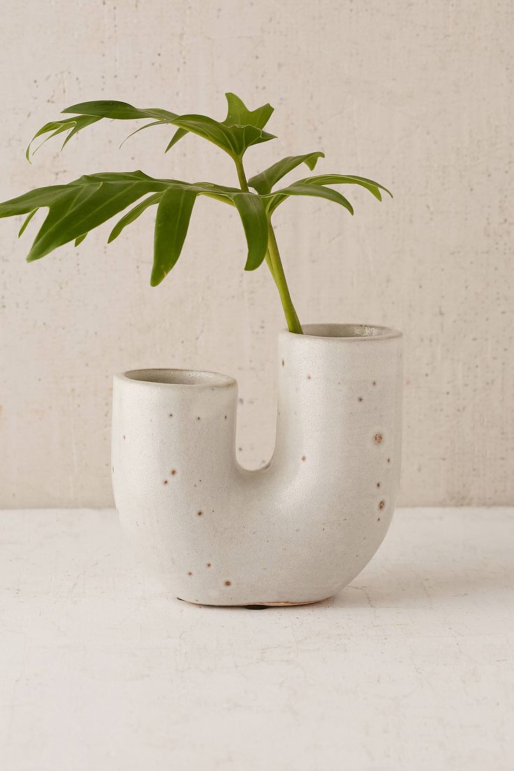 Shop Ikebana Vase at Urban Outfitters today. We carry all the latest styles, col...
