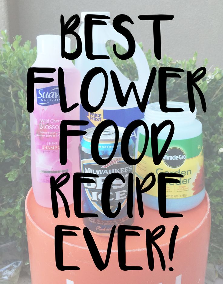 DIY Flower Food Recipe that will Change Your Life.