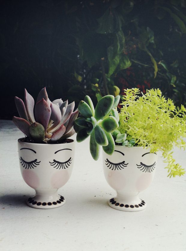 Succulent head planters or vases