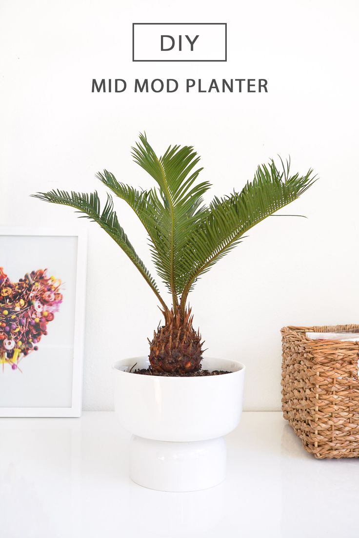 This Mid Modern Planter is a must make for all of your planty friends! - Sugar &...