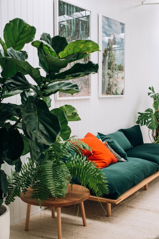 Un salon très végétal, canapé vert et plantes vertes | living room, Green so...