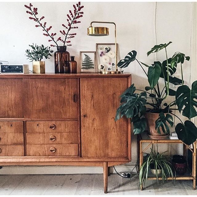 || mid century furniture + indoor plants || our heaven @littlegreenfingers