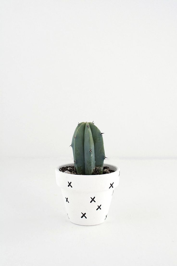DIY Mini Patterned Plant Pots
