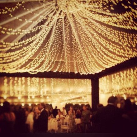 Bridal or event white strand lights in bulk or use to decorate a wedding recepti...