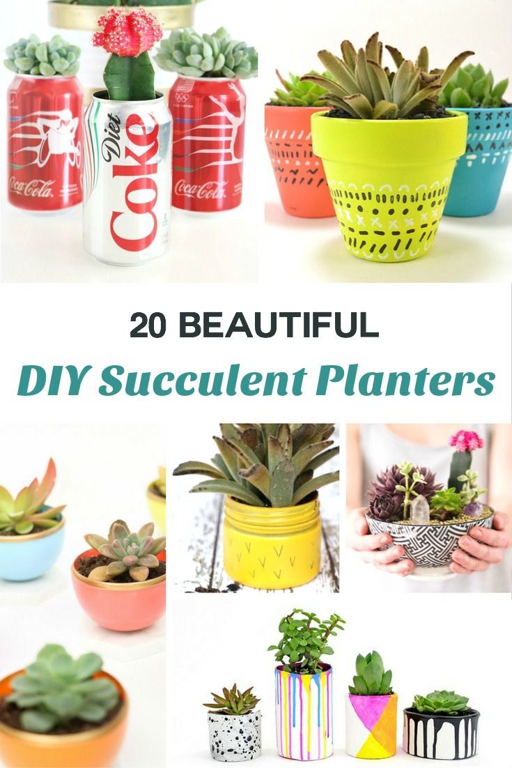 20 Beautiful DIY Succulent Planter Ideas