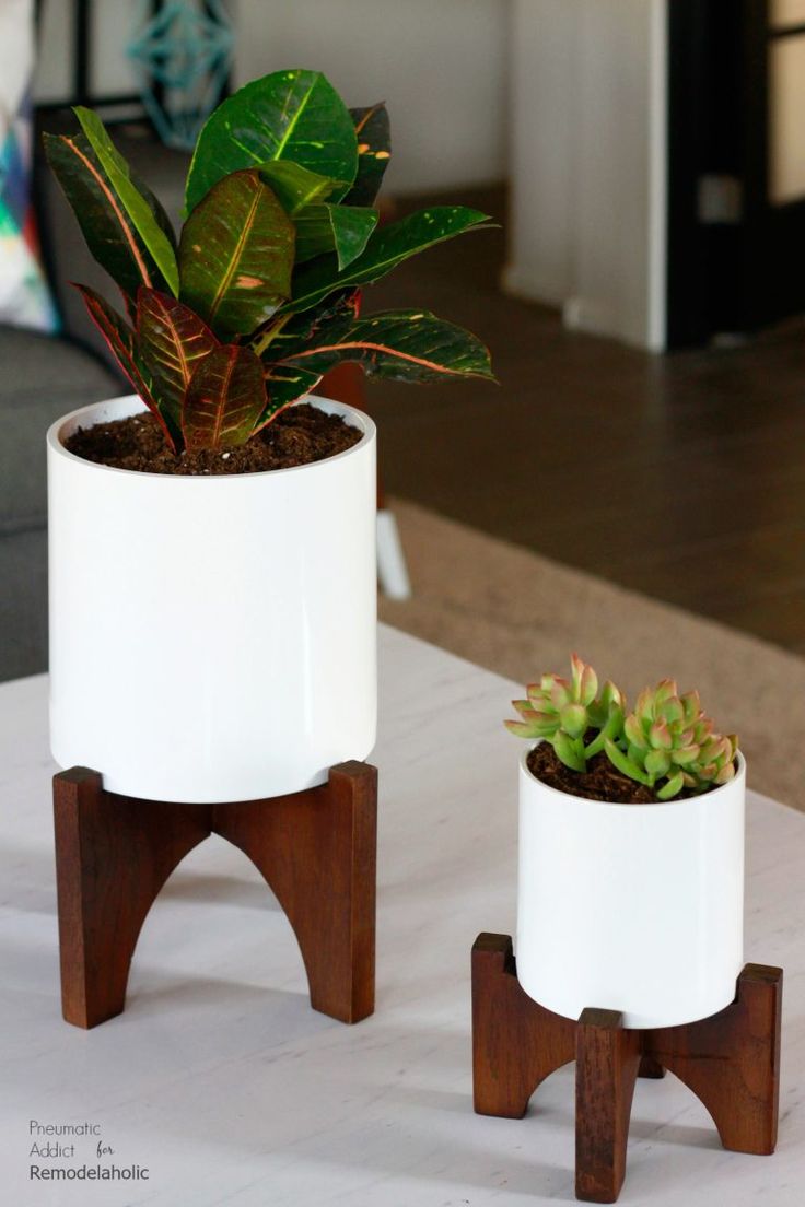 How To Make Modern White Tabletop Planters | Elevate your house plants with thes...
