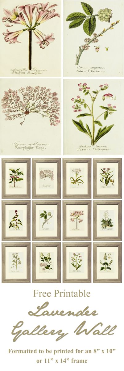 Lavender Gallery Wall Pinterest Graphic_2