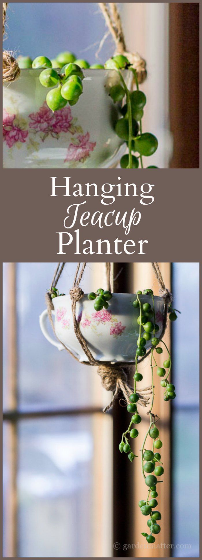 Learn how to create a hanging teacup planter by upcycling a china cup and planti...