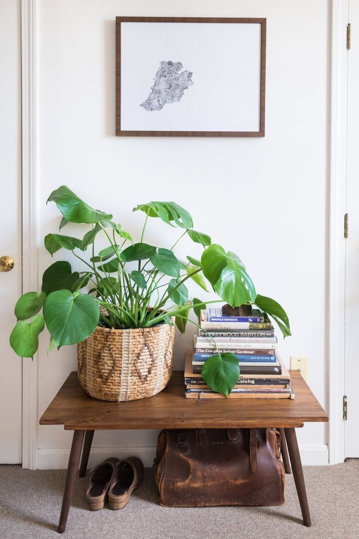 Bench with plants and books make great entryway decor