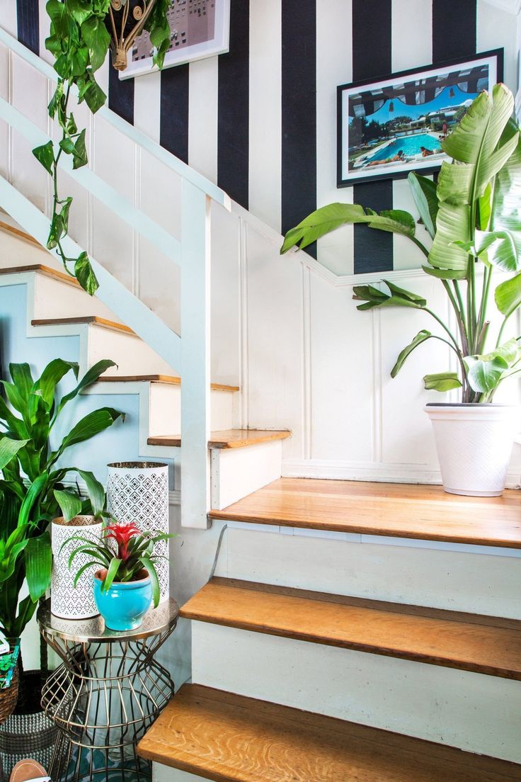 Stairway decorated with plants. Love the stripes on the wall