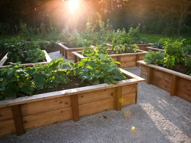 20 Raised Bed Garden Designs and Beautiful Backyard Landscaping Ideas