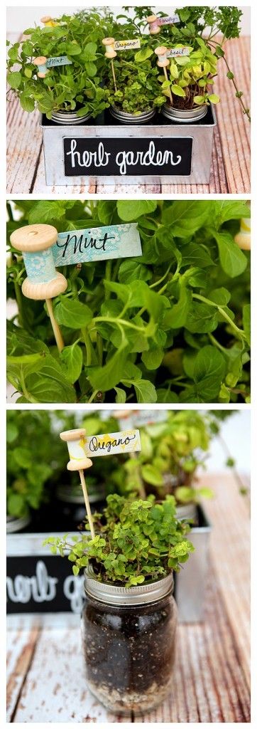 DIY Herb Garden & Plant Markers
