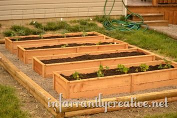 Planting a Raised Garden Bed