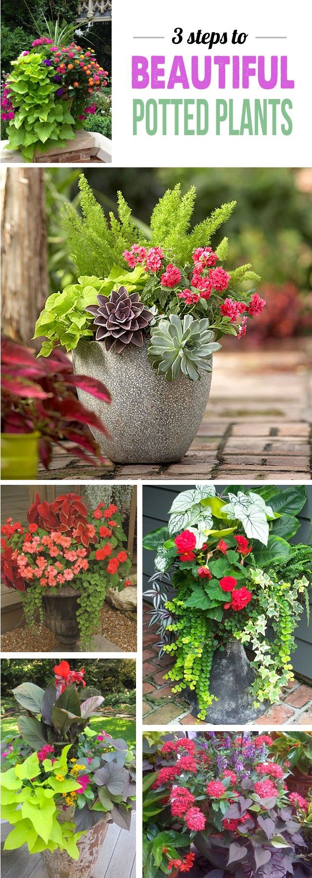 Great tips for making stunning potted plant arrangements - can't wait to add...