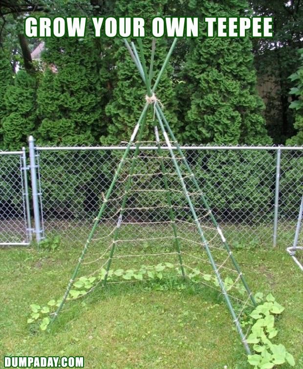 Grow your own tee pee! Maybe add a hanging plant from the top and do climbing pe...
