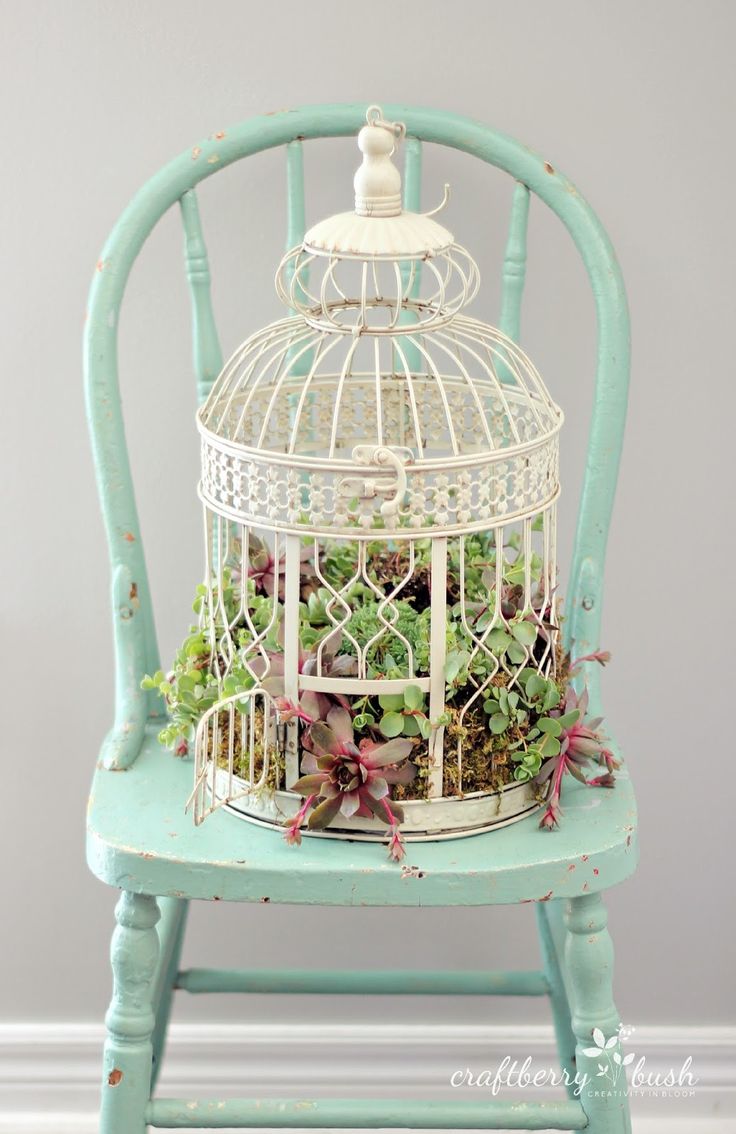 How to plant succulents in a birdcage (Craftberry Bush)
