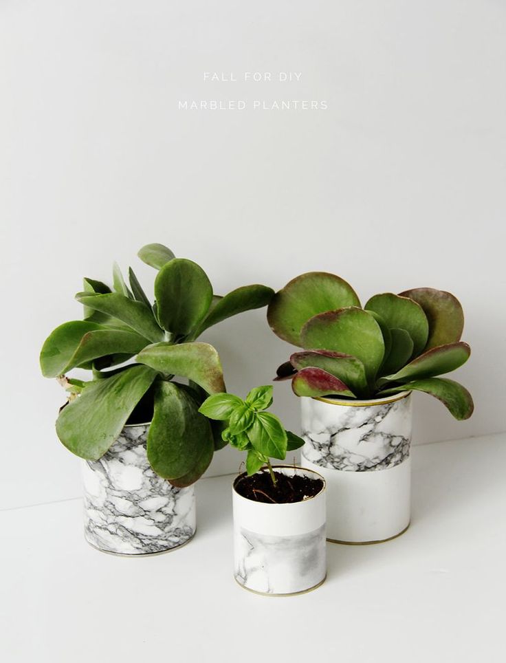 Fall For DIY Marbled Planters