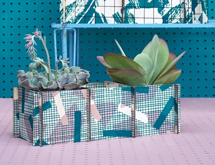 Image of 'Grid' Plant Frames Multi- Teal / Pink / Grey