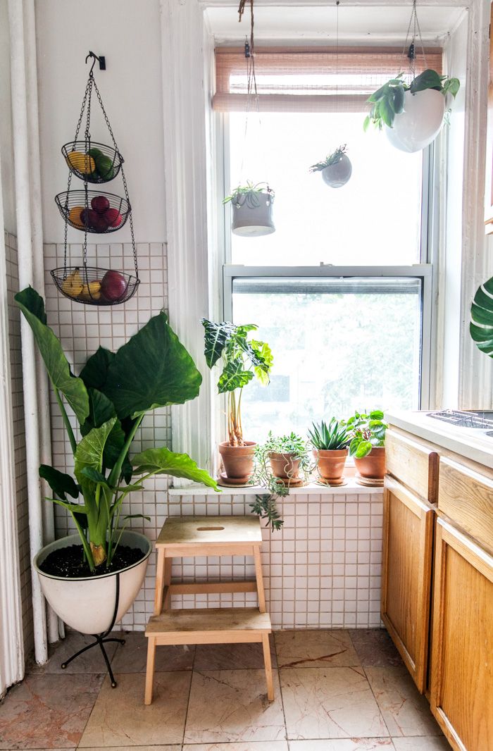 A Plant Designer and DJ’s Easy-Going Brownstone