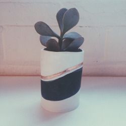 Succulent pot with a gold lustre stripe.