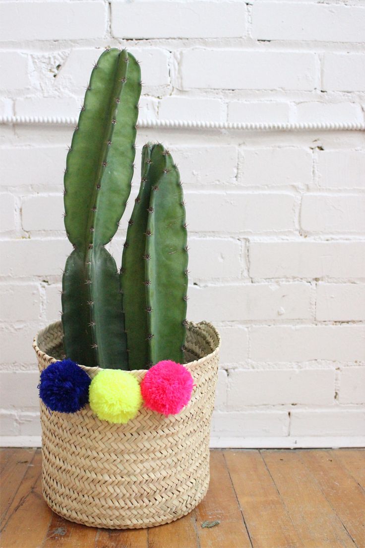 This pompom basket! From Baba Souk