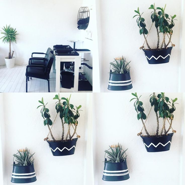 a happy space to hydrate your hair. @heartwoodhair hanging plants vases