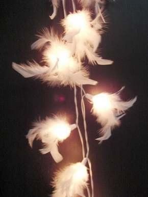 Feather Wedding lights