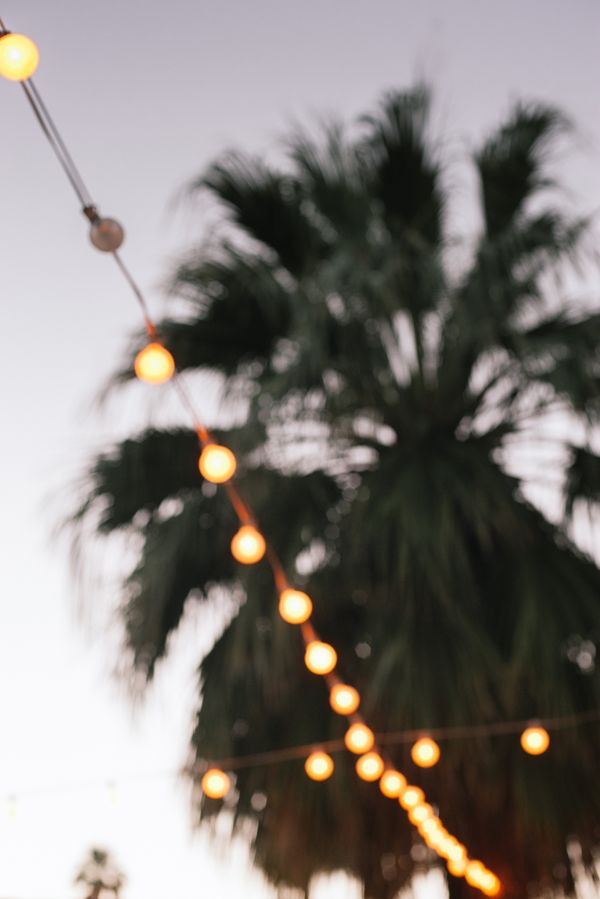 Wedding Reception Under String Lights 3 | photography by melissagidneyphot...