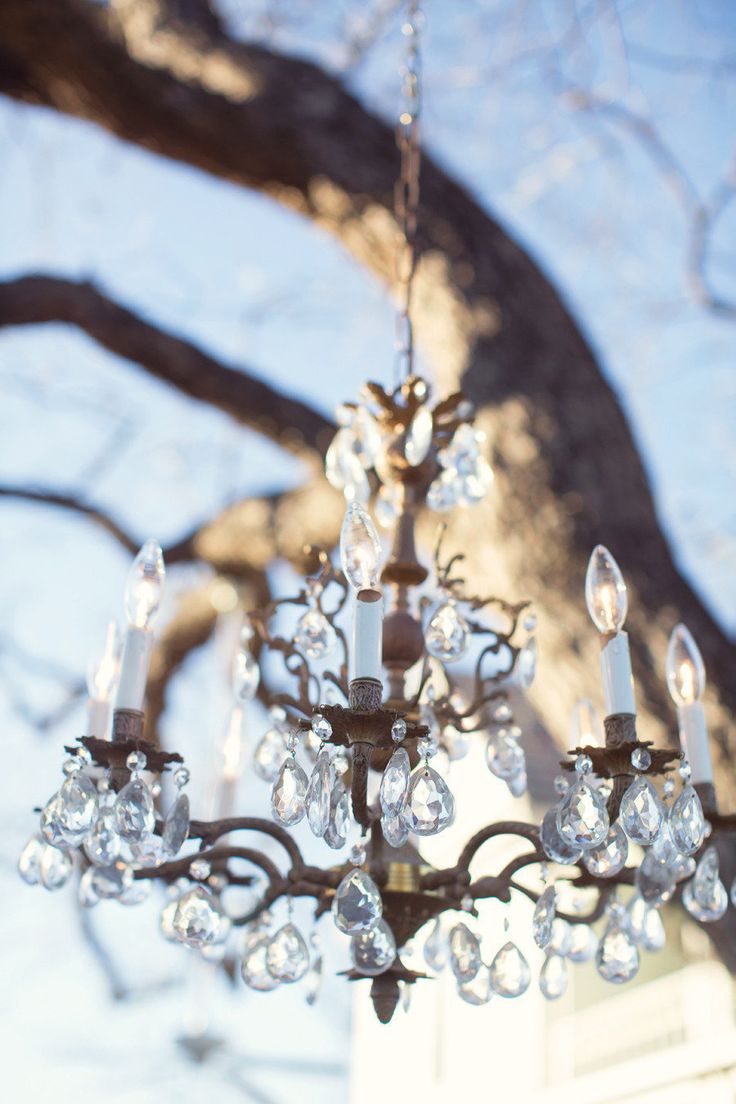 chandelier in tree