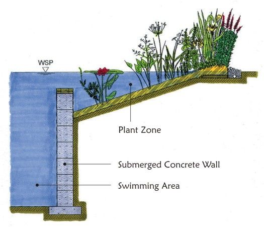 Natural pool plant zone