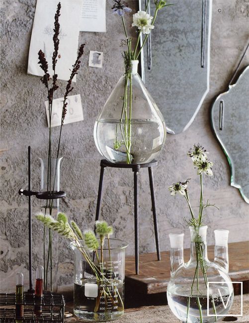 scientist vases.