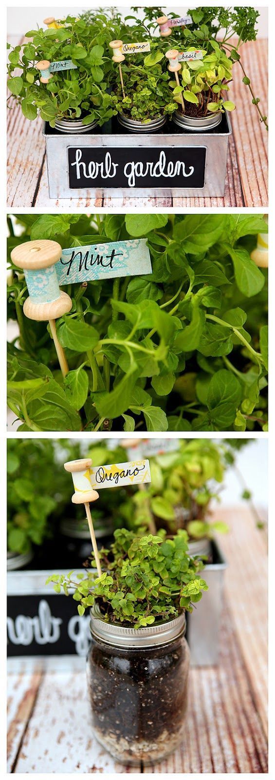 DIY Herb Garden & Plant Markers. Cute garden idea!