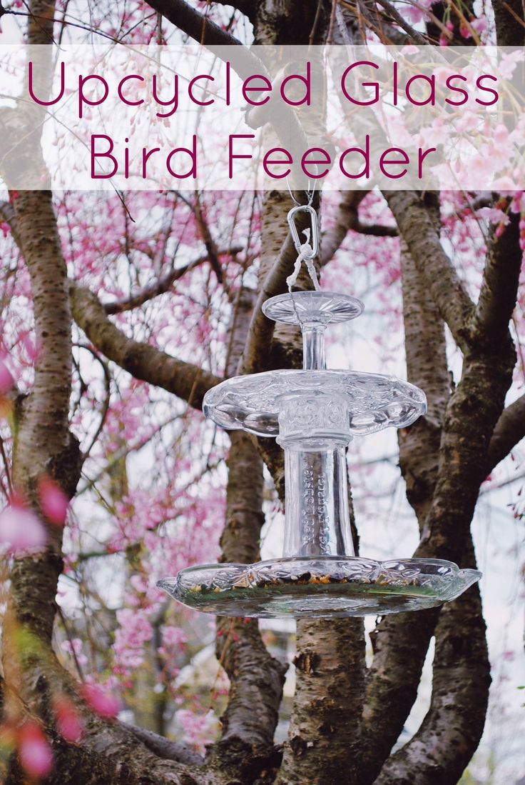 DIY Upcycled Bird Feeder made from recycled glass. Costs less than 15$ to make a...