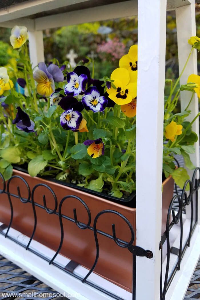 Give new life to a tired hanging planter.  #gardenideas #flowerpot #plantermakeo...