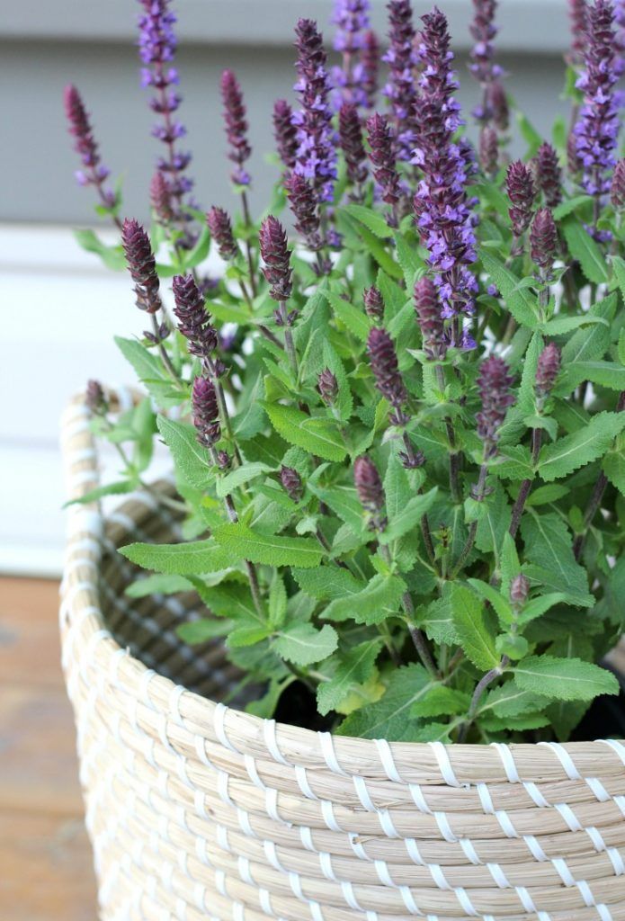 Outdoor DIY Projects and Decorating Ideas - Front Porch Basket Planter with Salv...