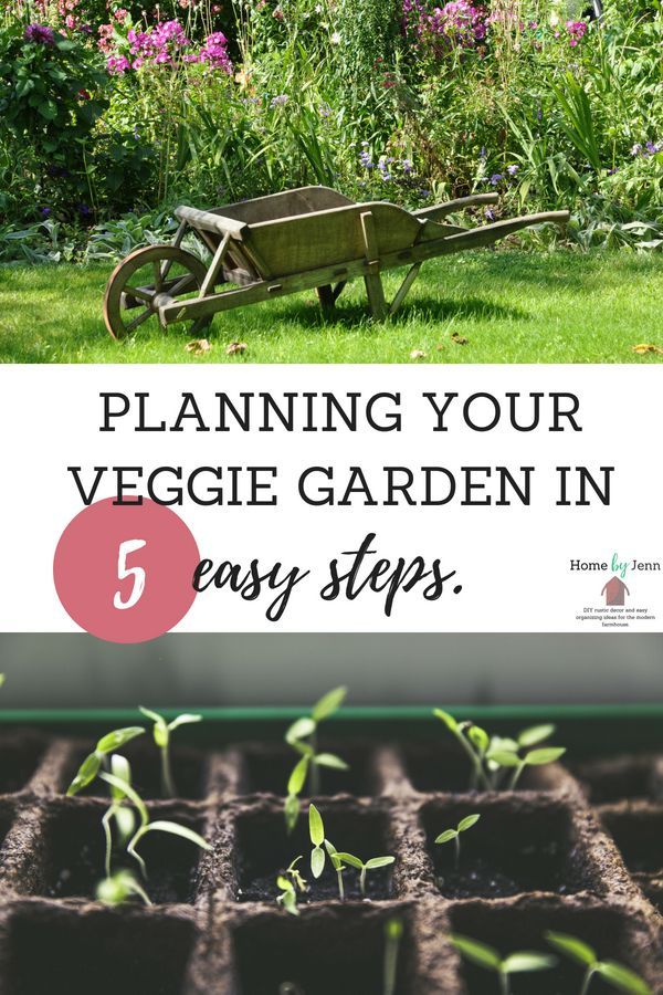 Planning Your Veggie Garden In 5 Easy Steps