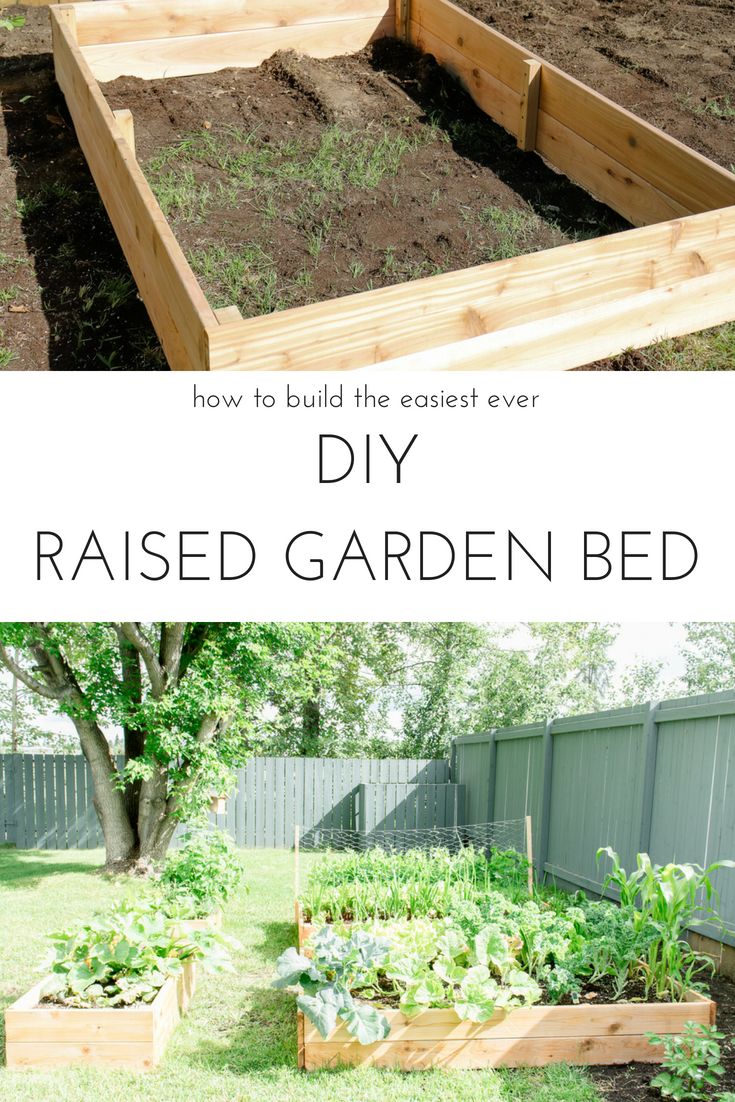 The easiest way to build your own DIY raised garden bed and plant your own veget...