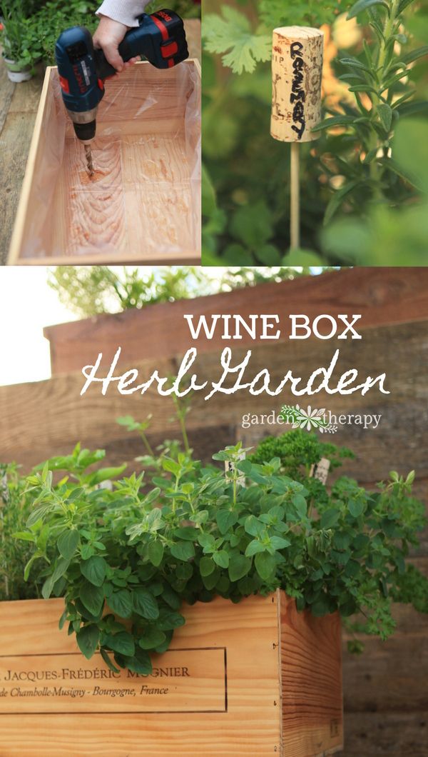 Wine Box Herb Garden DIY project - how to line the box and stain it so that it l...