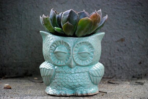 Owl Planter in mint  vintage style  indoor / by claylicious, $35.00 Etsy