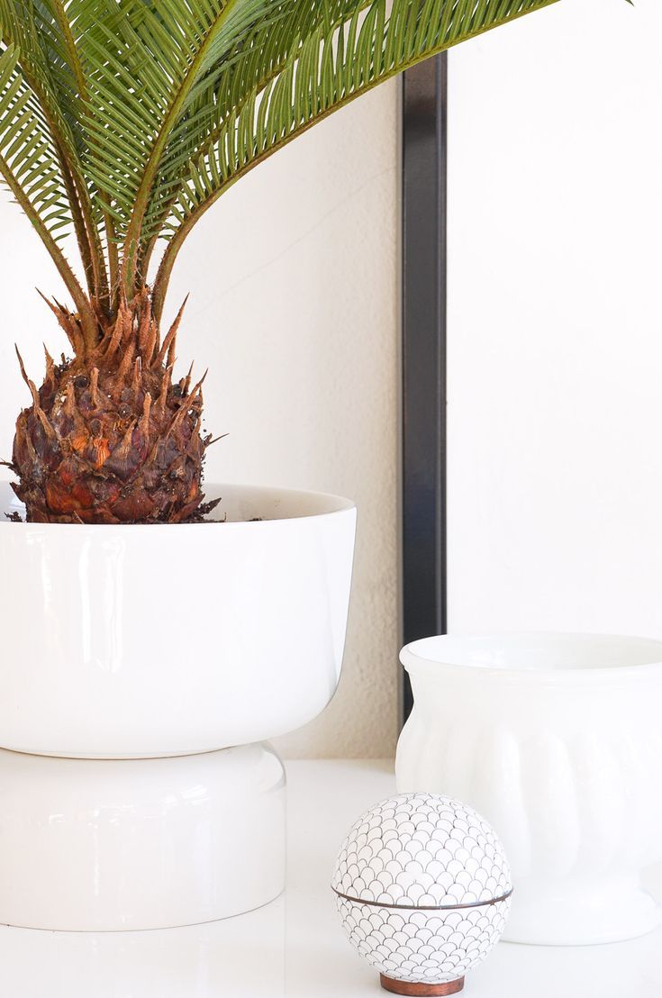 This Mid Modern Planter is a must make for all of your planty friends! - Sugar &...