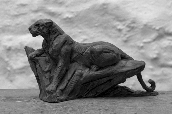 #Bronze #sculpture by #sculptor David Mayer titled: 'Leopard on rock (Small Bron...