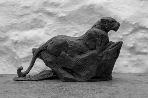 #Bronze #sculpture by #sculptor David Mayer titled: 'Leopard on rock (Small Bron...