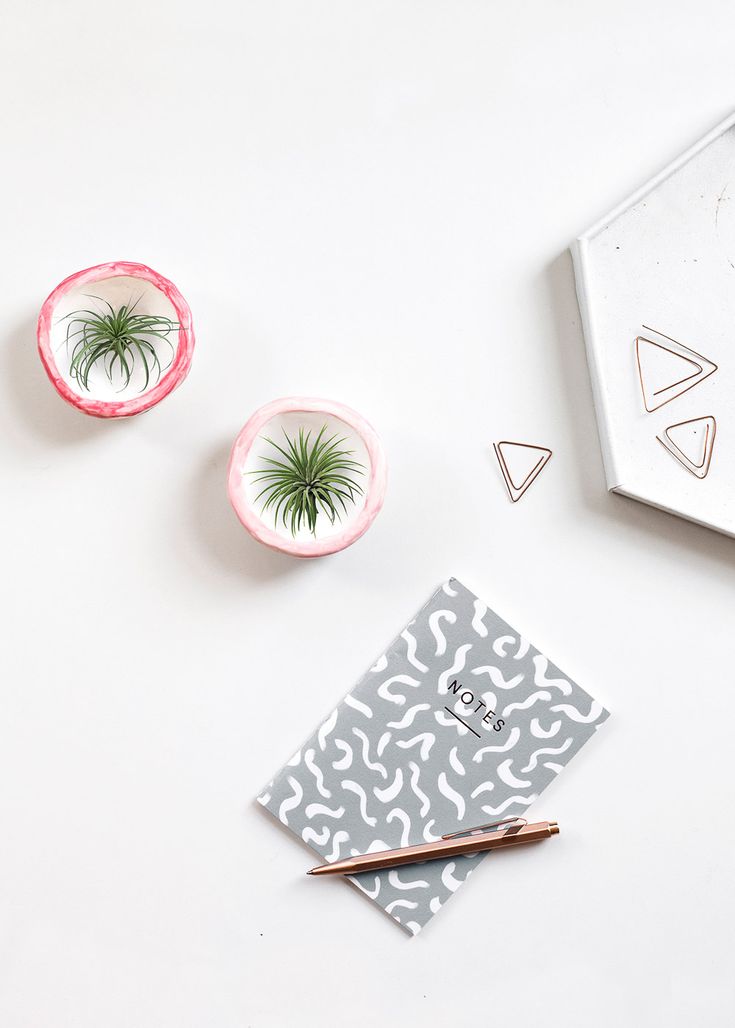 Make these adorable mini DIY plant pots, perfect for air plants! Get creative!! ...