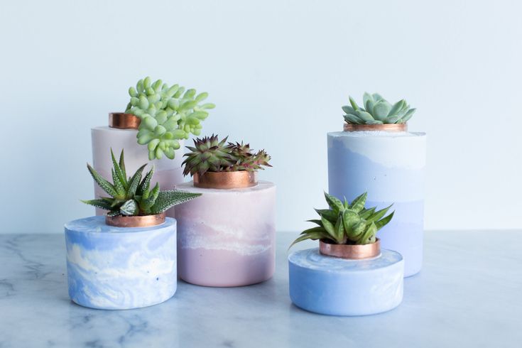 concrete planters with succulents on marble