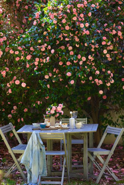 Come discover this enchanting, French styled patio table and chairs on the blog!...