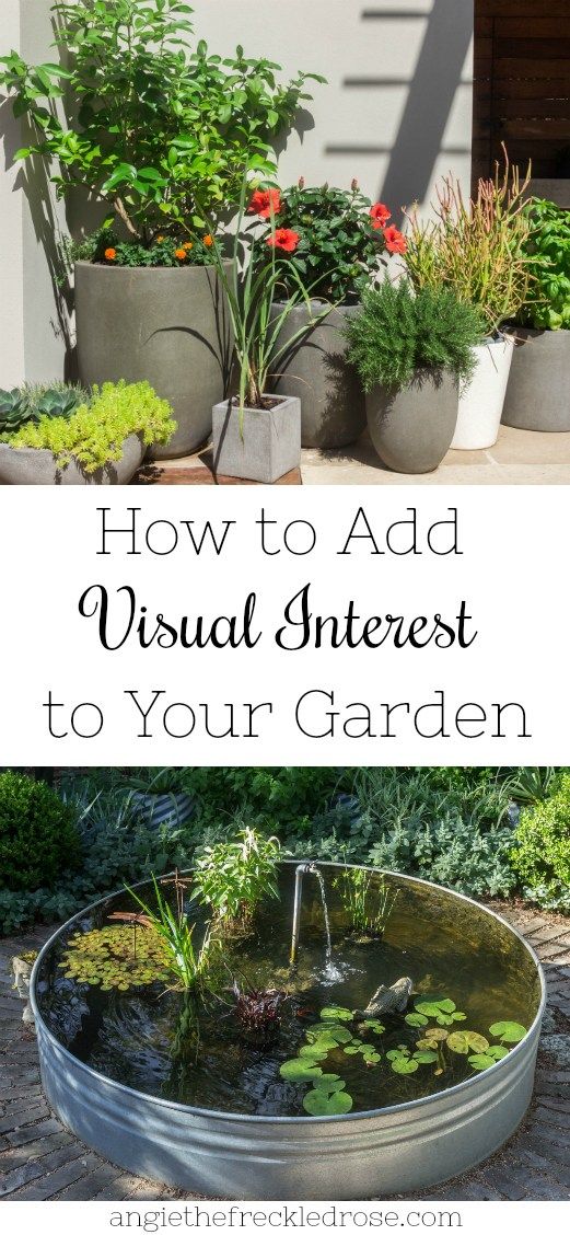 How to Add Visual Interest to Your Garden | angiethefreckledr...