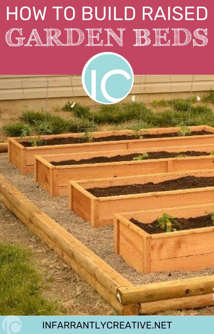 Planting a Raised Garden Bed
