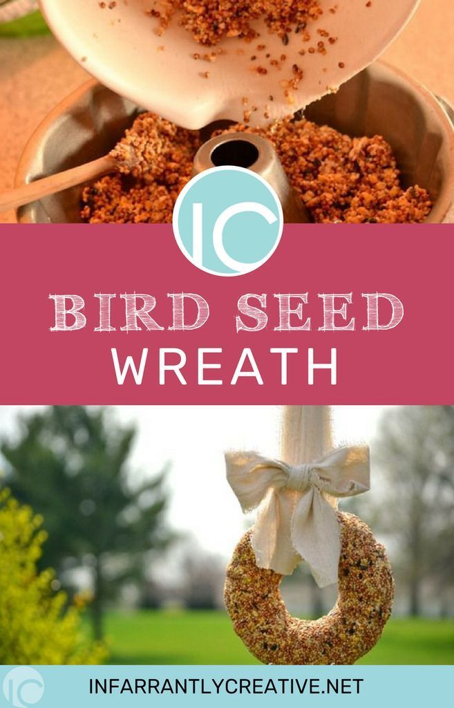 Making a birdseed wreath is a fun, classic way to welcome in Spring. Enlist your...