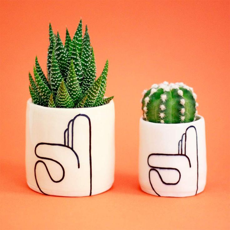 HAPPY SUNDAY GUYS 👌🍶🌵 see you on www.coolmachine.fr ✌